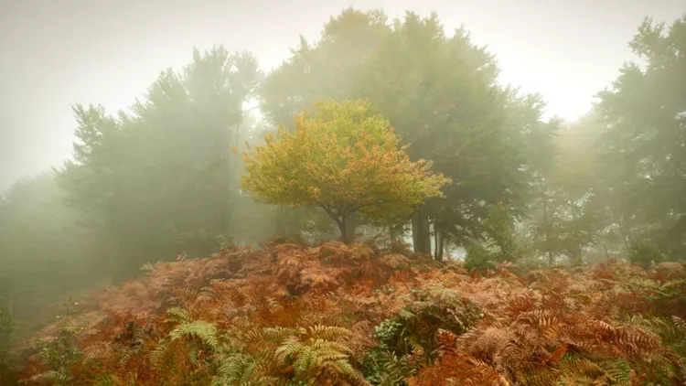«Παντός καιρού» η νέα φωτογραφική έκθεση του Χρίστου Σιμάτου