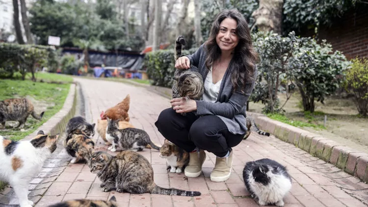 Η «γατομαμά» Τσεϊντά Τορούν μας συστήνει στις «Γάτες της Κωνσταντινούπολης»