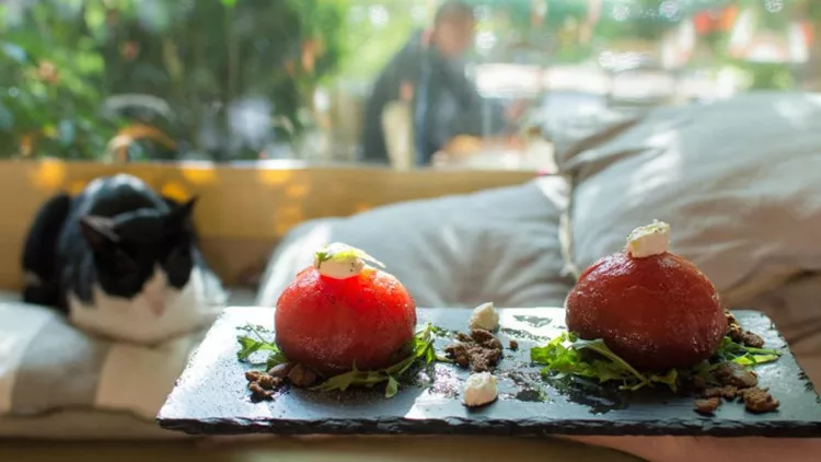 Στο «Αποστακτήριον» με το αθηνόραμα Club