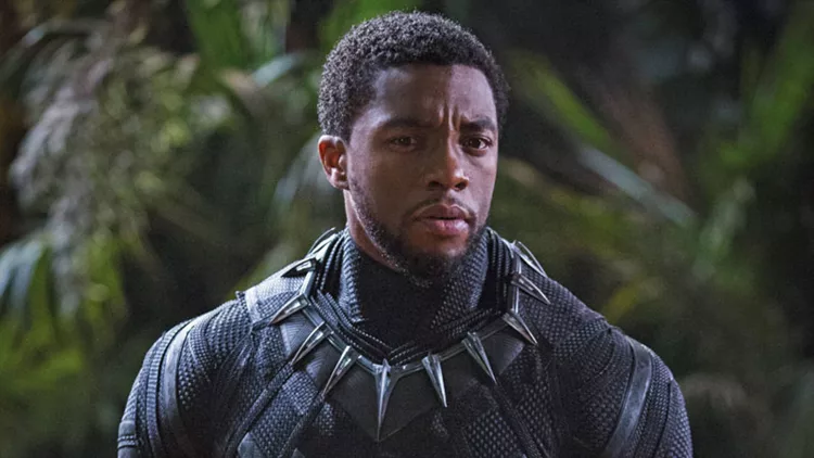 Οι πολεμιστές του «Black Panther»