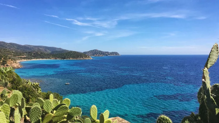 Πως η παγκόσμια jazz ανθεί στη Μεσόγειο