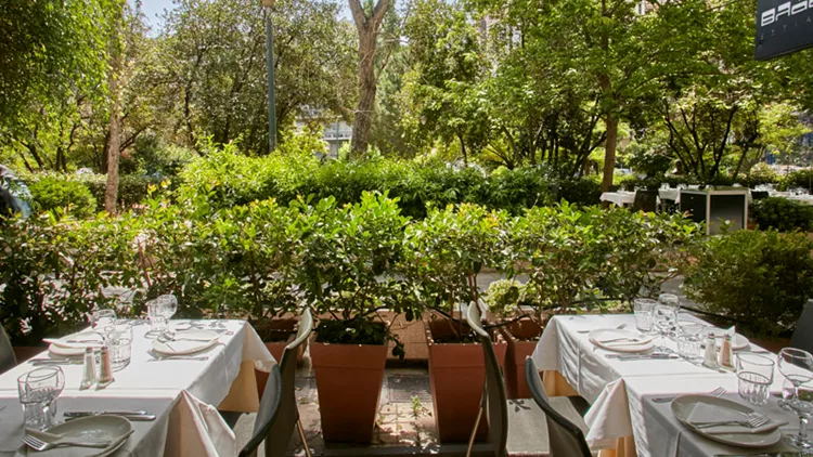 Στον «Βλάσση» τιμούν την αστική ελληνική κουζίνα με φόντο πράσινο