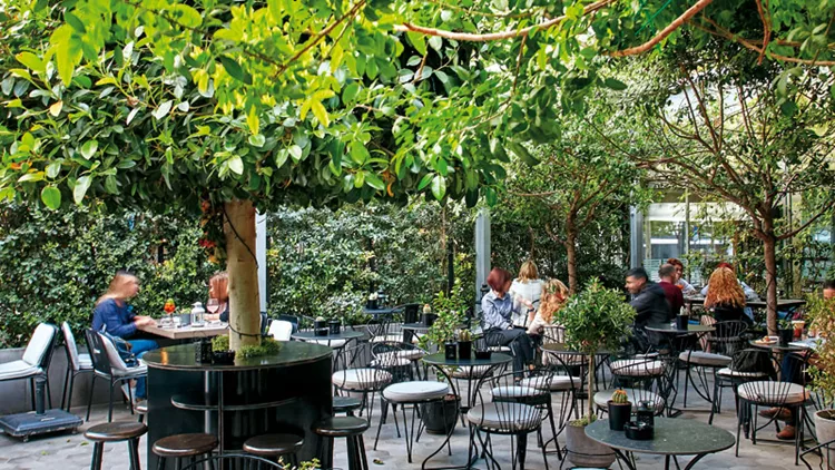 Ιταλικά κρασιά και aperitivi, φερ φορζέ και φυλλωσιές