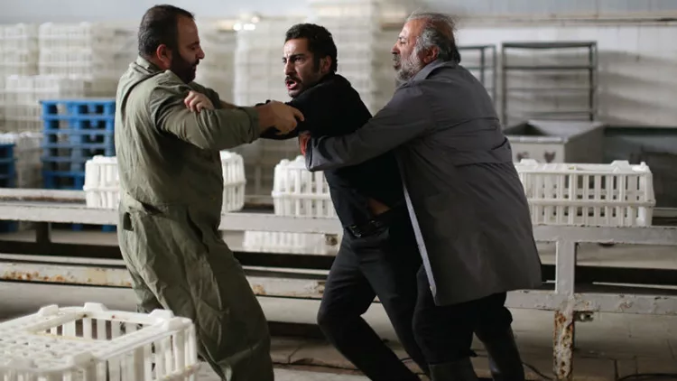 Περίπτωση Συνείδησης