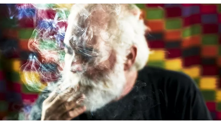 «Who[’s] is Who[on]»: ένα ζωντανό installation χωρίς προηγούμενο