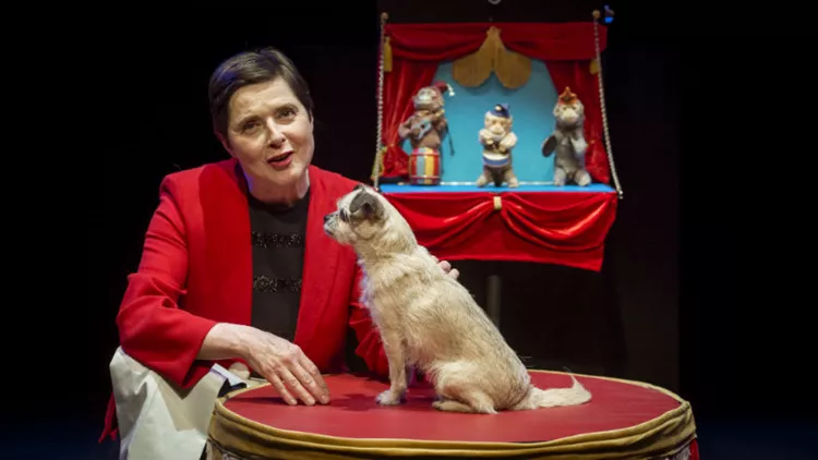 Ιζαμπέλα Ροσελίνι: «Νιώθω περισσότερο ελεύθερη όσο μεγαλώνω»