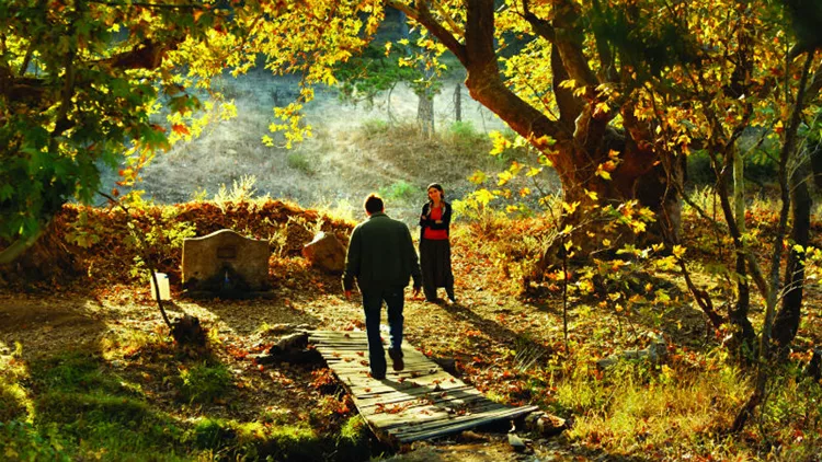 Η Άγρια Αχλαδιά