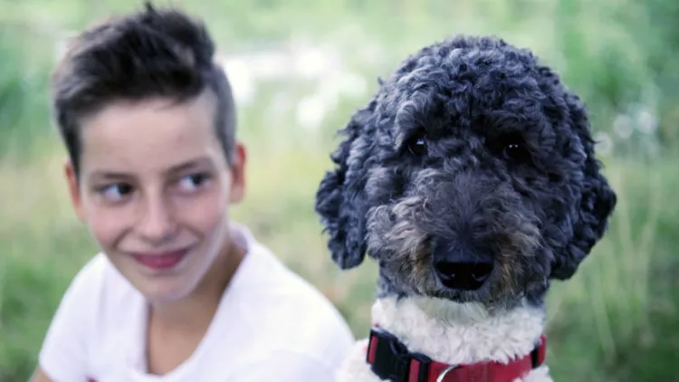 Το 21ο Φεστιβάλ Ντοκιμαντέρ Θεσσαλονίκης ετοιμάζει αφιέρωμα με επίκεντρο τα ζώα