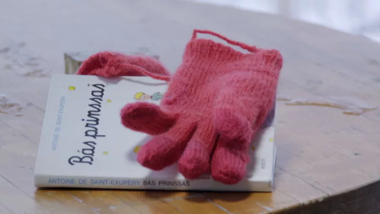 Στο CineDoc μια απίστευτη ιστορία για τον «Μικρό Πρίγκιπα»