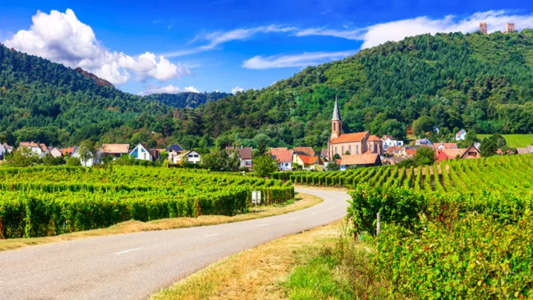 Ταξιδεύουμε στους δρόμους του κρασιού της Αλσατίας