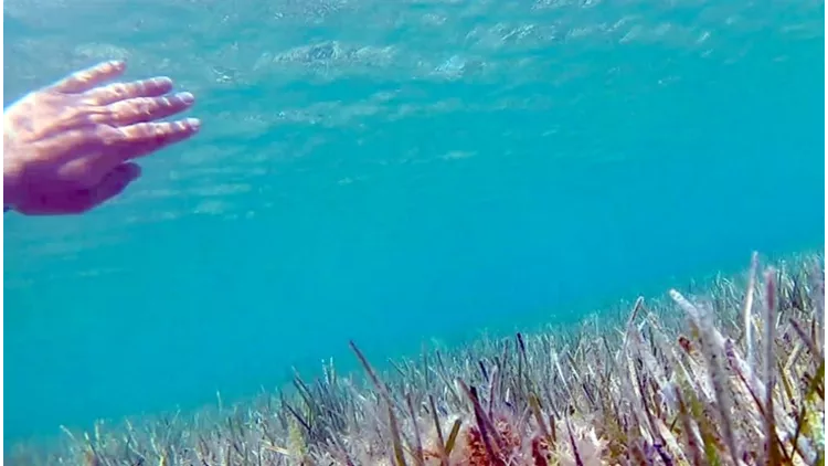 Τι συμβαίνει με την παλίρροια σύγχρονης τέχνης στην Αθήνα;