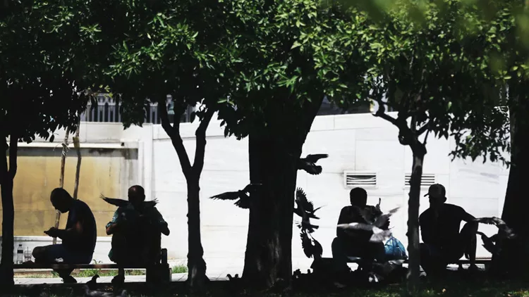 «Adopt-A-Tree»: Υιοθετήστε ένα δέντρο και κάντε πιο πράσινη την Αθήνα