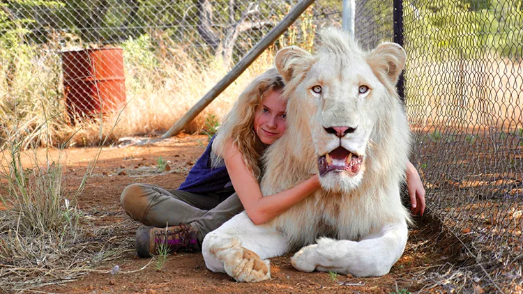 Το Κορίτσι και το Λιοντάρι