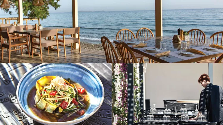 Αυτοί είναι οι σεφ του καλοκαιριού 2020