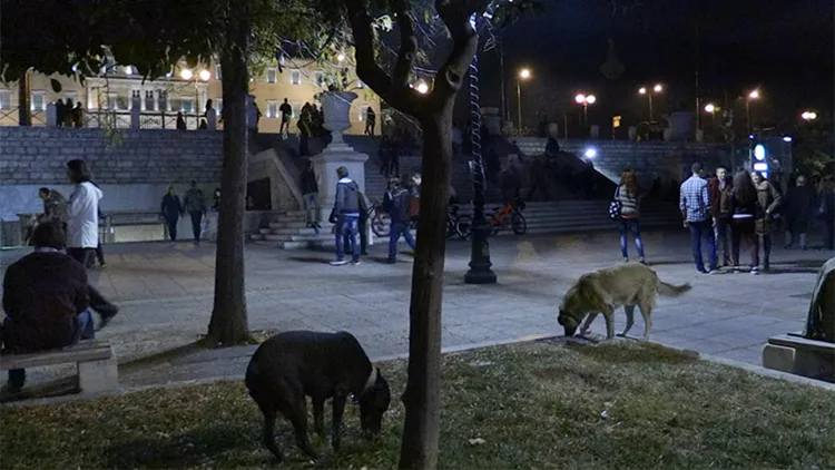 Οι Άγνωστοι Αθηναίοι