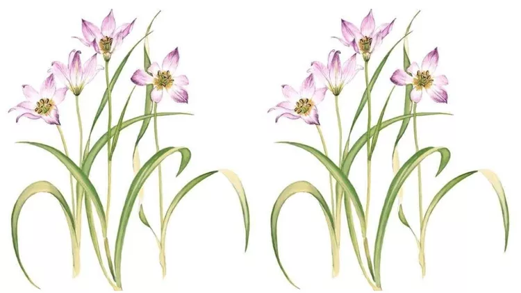 Πανελλήνιο μαθητικό διαγωνισμό ζωγραφικής ανακοίνωσε το Μουσείο Γουλανδρή