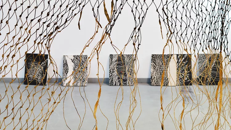 Μια περιπλάνηση στις διπλωματικές του ΜΕΤ στην Ανωτάτη Σχολή Καλών Τεχνών