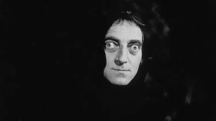 Young Frankenstein 