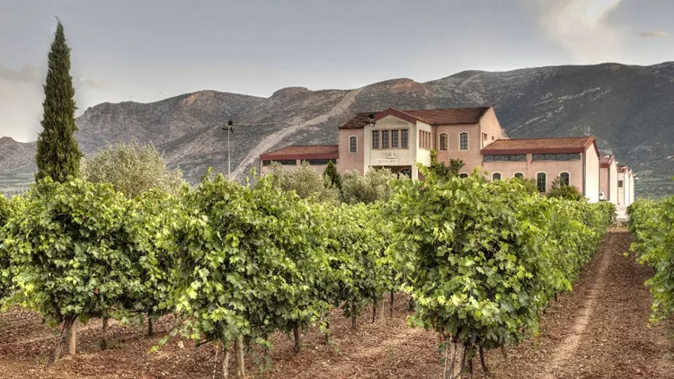 Μεγάλες μέρες έρχονται για τα εκλεκτά κρασιά και τα Λιθόγραφα της Νεμέας