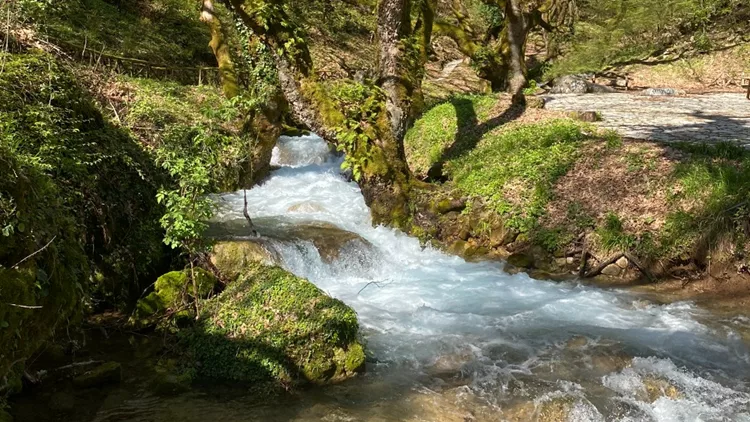 Στα Τρίκαλα θα ξεχάσεις και το όνομά σου