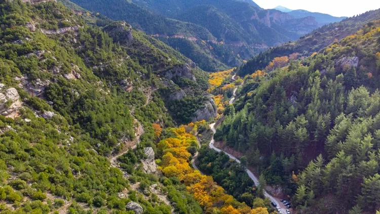 Έτοιμοι για το 42ο Πανελλήνιο Πέρασμα στο Φαράγγι του Βουραϊκού;