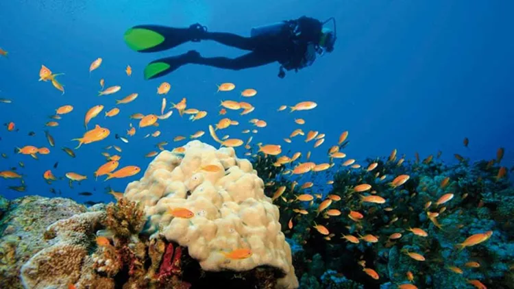 Καταδυτικός τουρισμός: Έτοιμοι για μακροβούτια;