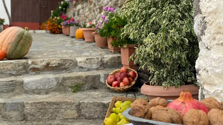 Καρυδένιος φθινοπωρινός Οκτώβρης στη Βαμβακού