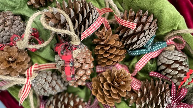 Χριστούγενναπάμε χωριό… πάμε Βαμβακού!