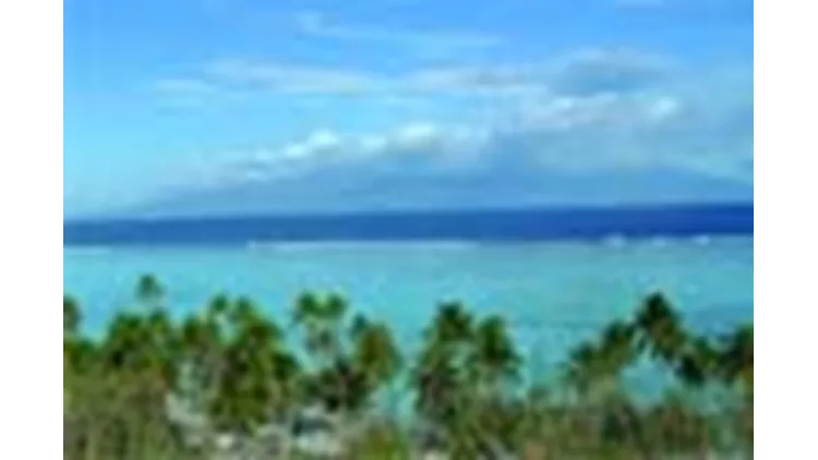 Μποέμ Καλοκαίρι