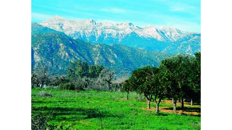 Πικουλιάνικα Λακωνίας
