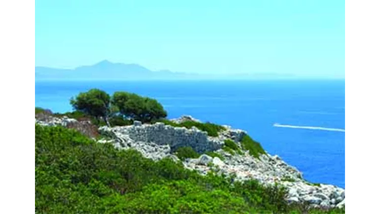 Ανακαλύψεις στην Πελοπόννησο