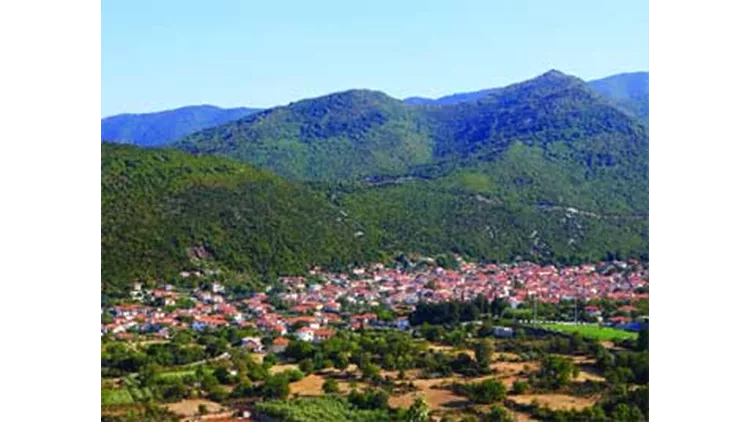 Παγγαίο - Φαλακρό