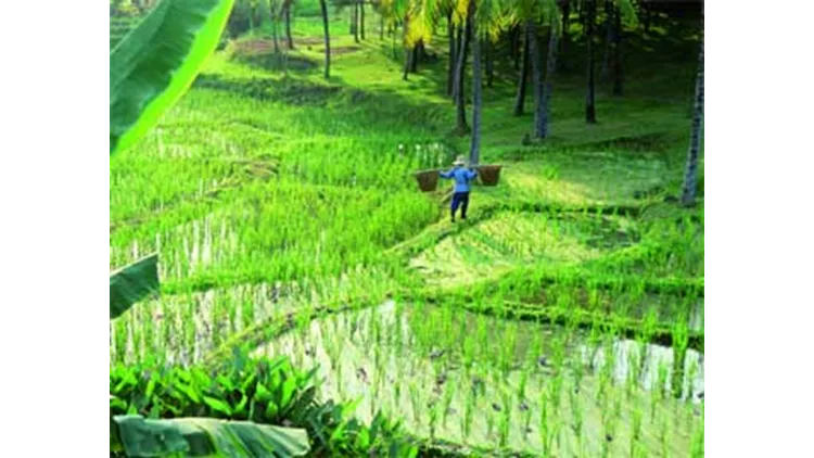 Chiang Rai - Koh Lanta