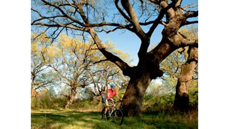 Γουμένισσα - Σκρα