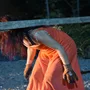 Η αλεπού θα ξανάρθει