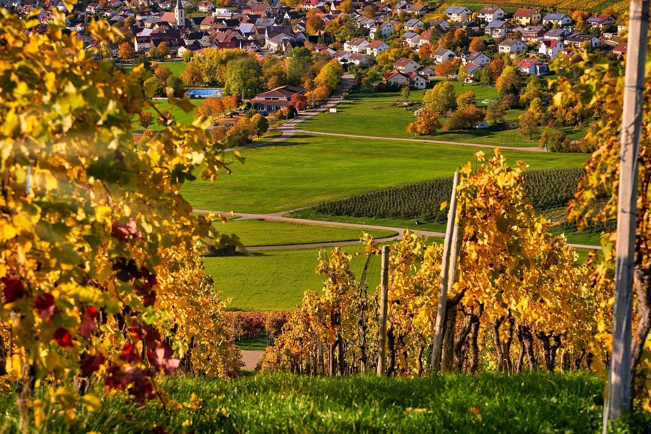 Orbis Vini: Για πρώτη φορά στην Ελλάδα μία έκθεση αφιερωμένη στα "κρασιά του κόσμου"