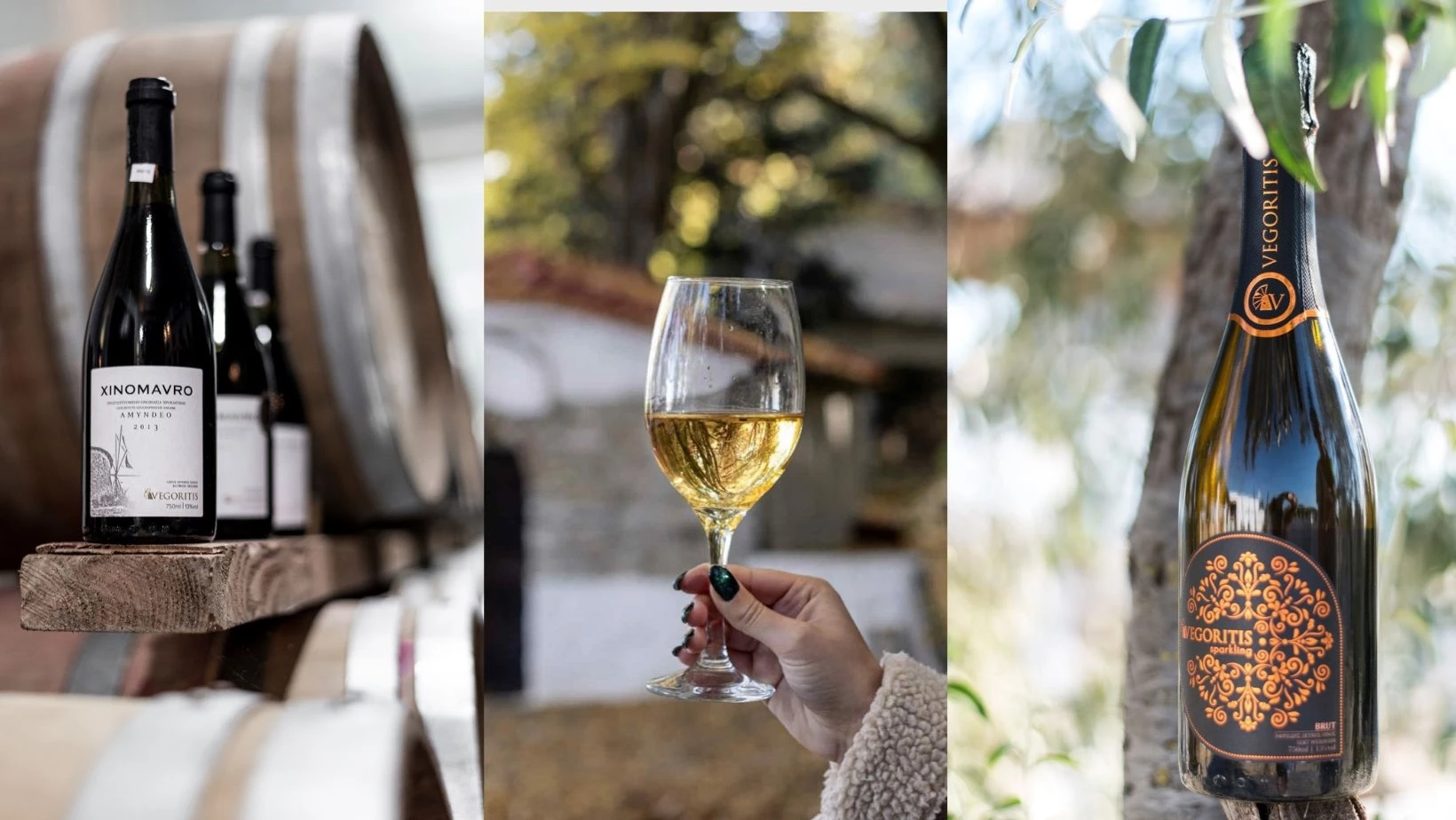 Δοκιμάζουμε δύο διαφορετικές "πτυχές" του Ξινόμαυρου από τον αμπελώνα των τεσσάρων Λιμνών