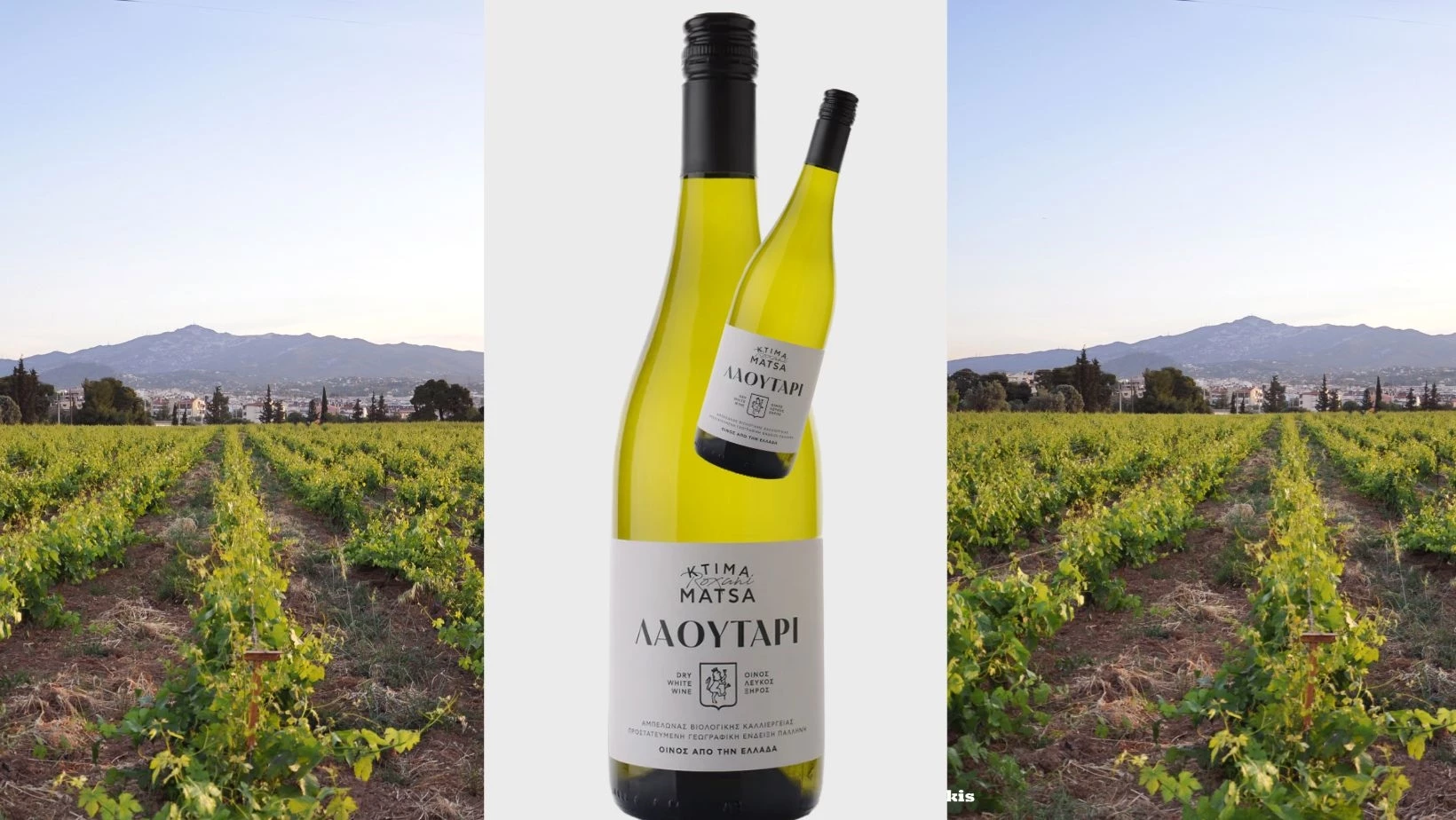 Μήπως ο αττικός αμπελώνας έχει κάτι να σου πει; Δοκιμάζουμε "Λαουτάρι"  αλλά και κάτι ακόμα!