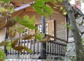 Η ευκαιρία να ζήσετε το δικό σας «Μικρό σπίτι στο λιβάδι» σε ξύλινα σπιτάκια για παρέες