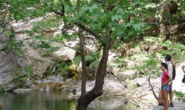 48 ώρες στην Αγία Άννα της Εύβοιας - εικόνα 2