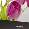 Sony DPF-V1000