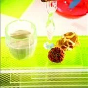 Tραχανάς με σουτζουκάκια από χταπόδι από τον Χριστόφορο Πέσκια