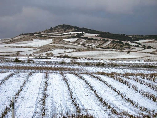 Marques de Caceres