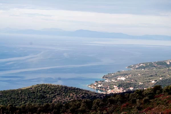 Λαύκος: ένα ανερχόμενο μυστικό - εικόνα 5