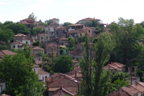 Λαύκος: ένα ανερχόμενο μυστικό - εικόνα 2