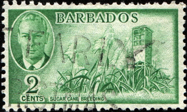 Χαρακτηριστικό γραμματόσημο με φυτεία ζαχαροκάλαμου