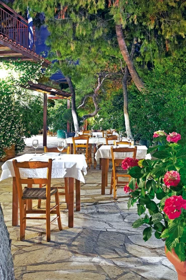Χρυσοί Σκούφοι 2015: Αυτά είναι τα καλύτερα εστιατόρια της Ελλάδας - εικόνα 35
