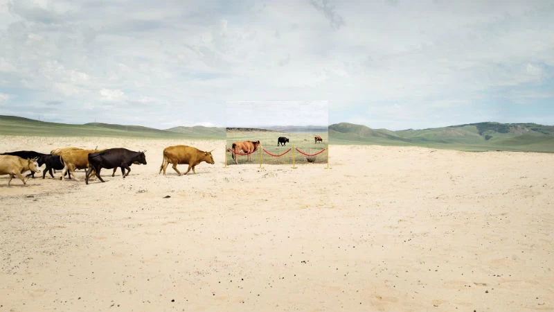 5 καρέ από το Athens Photo Festival - εικόνα 1