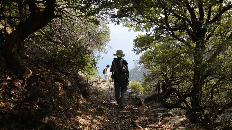 Ικαρία: Στην πηγή του zen - εικόνα 2