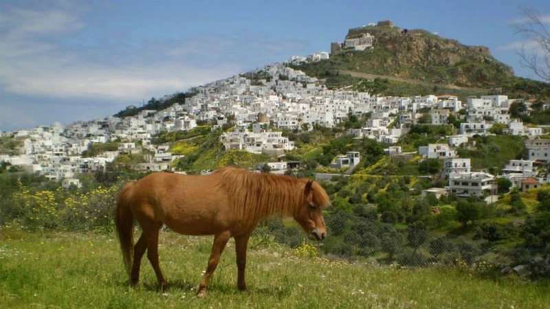 10 στοπ-καρέ στη Σκύρο - εικόνα 4